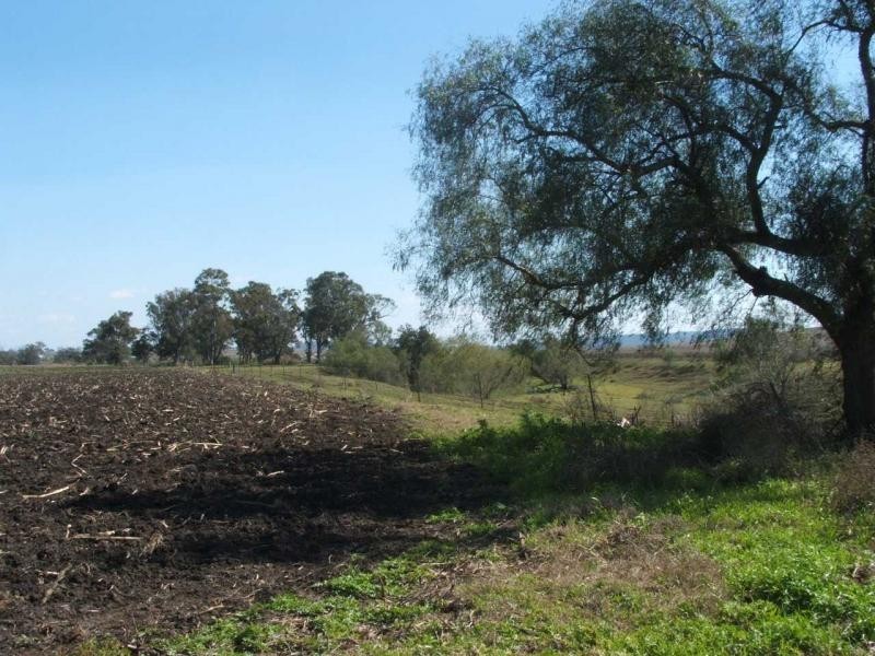 Freestone QLD 4370