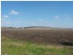 Freestone QLD 4370