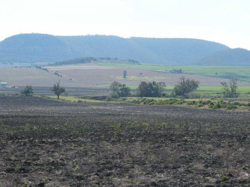 Freestone QLD 4370