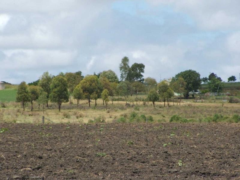 209 (Lot 56) Freestone Creek Road, Warwick QLD 4370