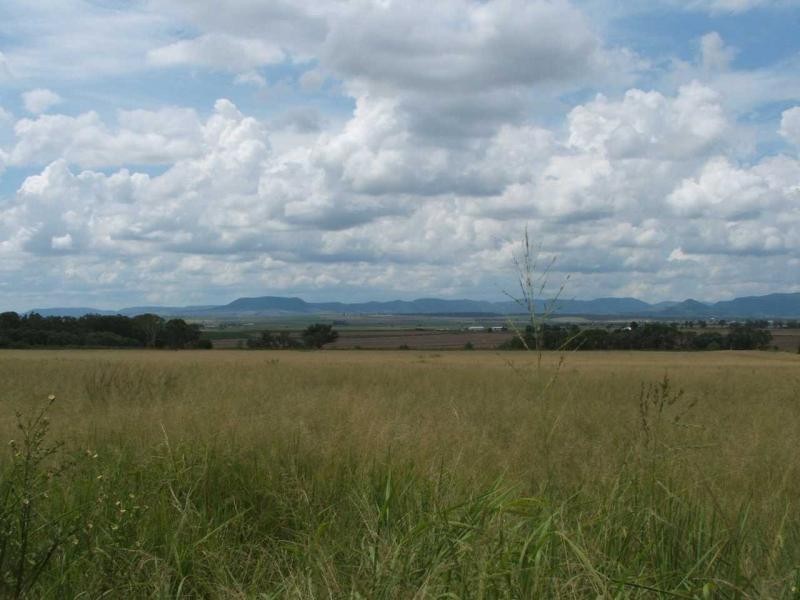 Warwick QLD 4370