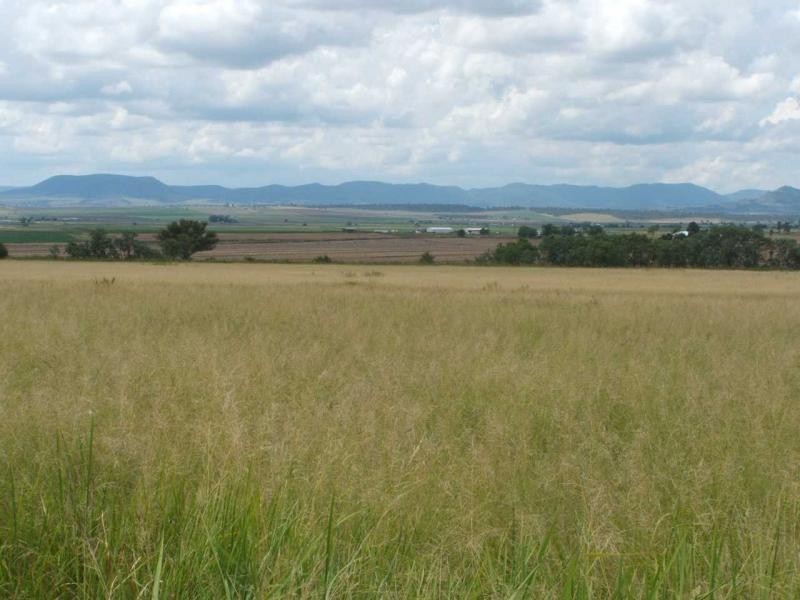 Warwick QLD 4370
