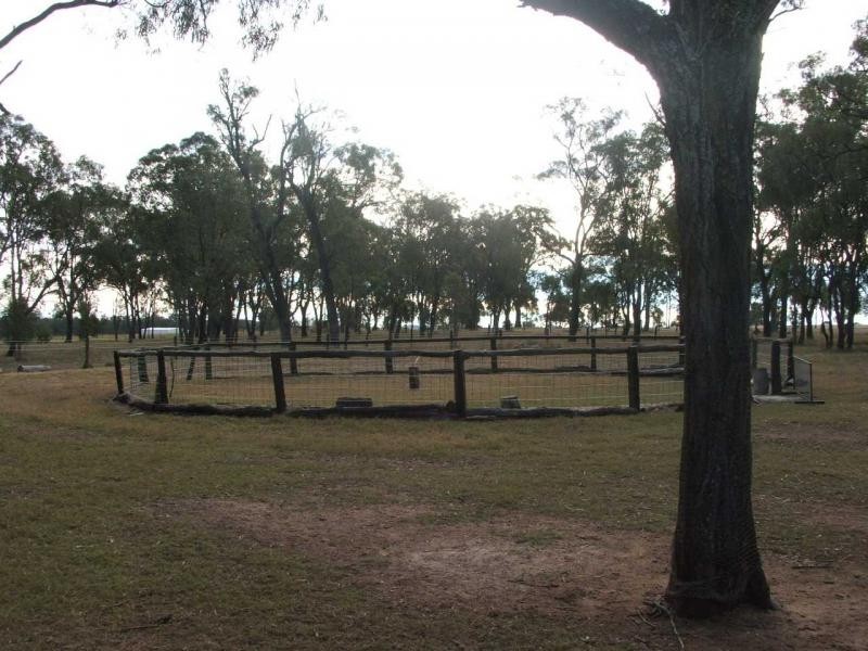 Warwick QLD 4370