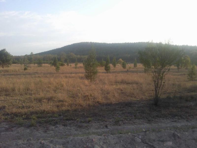 Brush Creek QLD 4387