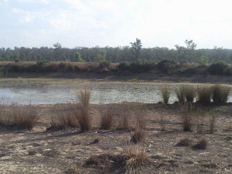 Brush Creek QLD 4387