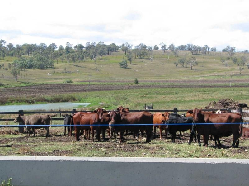 Warwick QLD 4370