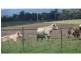 Warwick QLD 4370