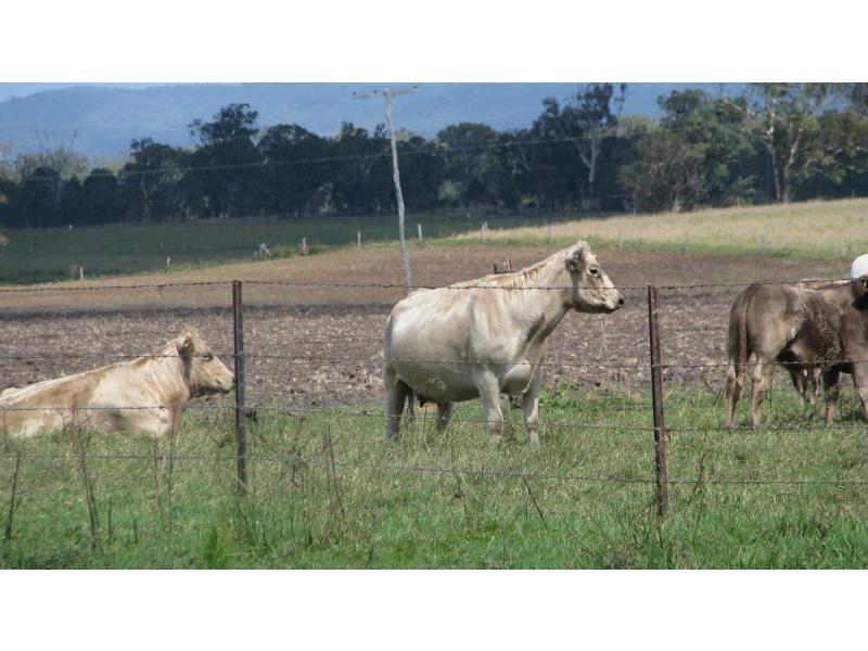 Warwick QLD 4370