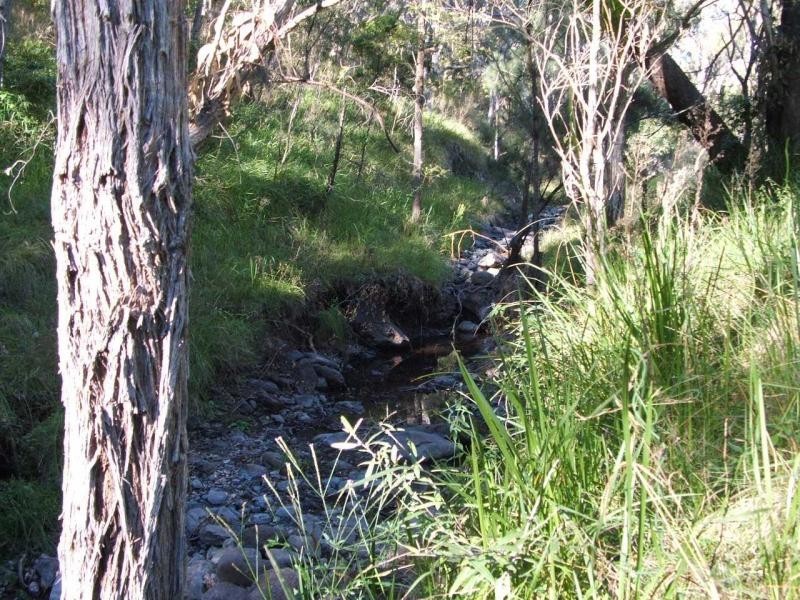 Warwick QLD 4370