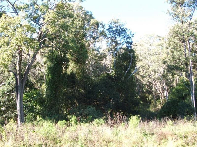 Warwick QLD 4370