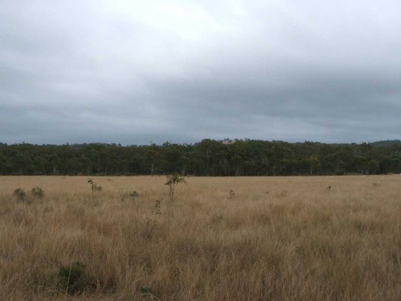 Warwick QLD 4370