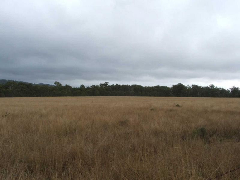 Warwick QLD 4370