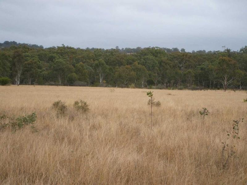 Warwick QLD 4370
