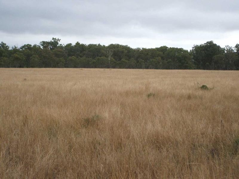 Warwick QLD 4370