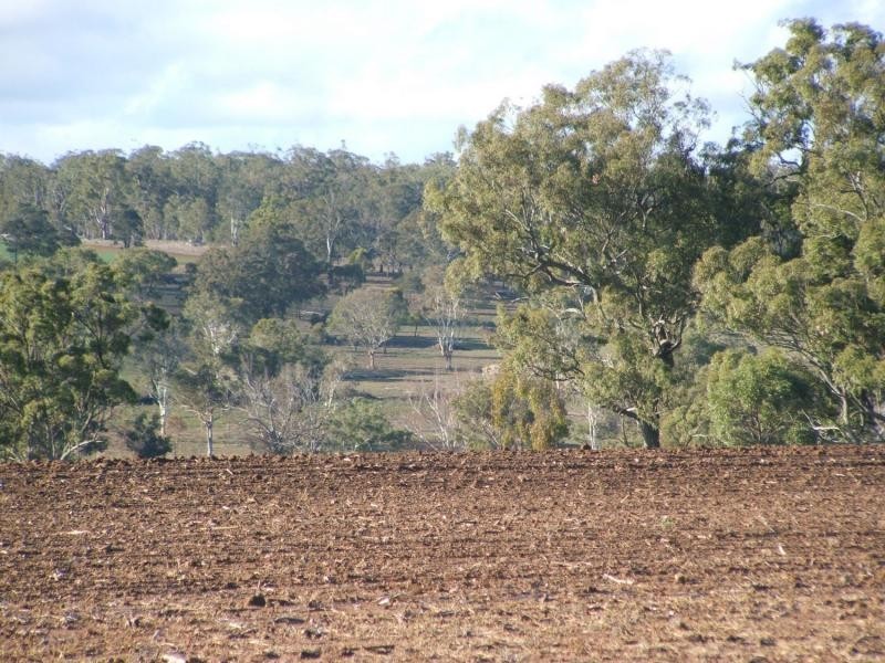 Warwick QLD 4370