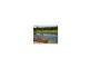 Merrimac QLD 4226