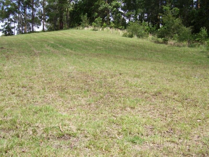 Mapleton QLD 4560