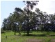 Lot 14 The Parkway Place, Mapleton QLD 4560