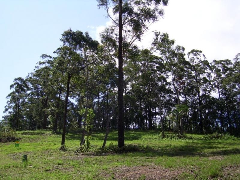 Lot 14 The Parkway Place, Mapleton QLD 4560