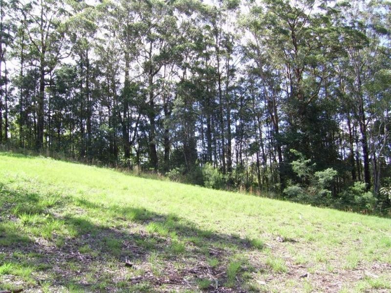 Lot 14 The Parkway Place, Mapleton QLD 4560