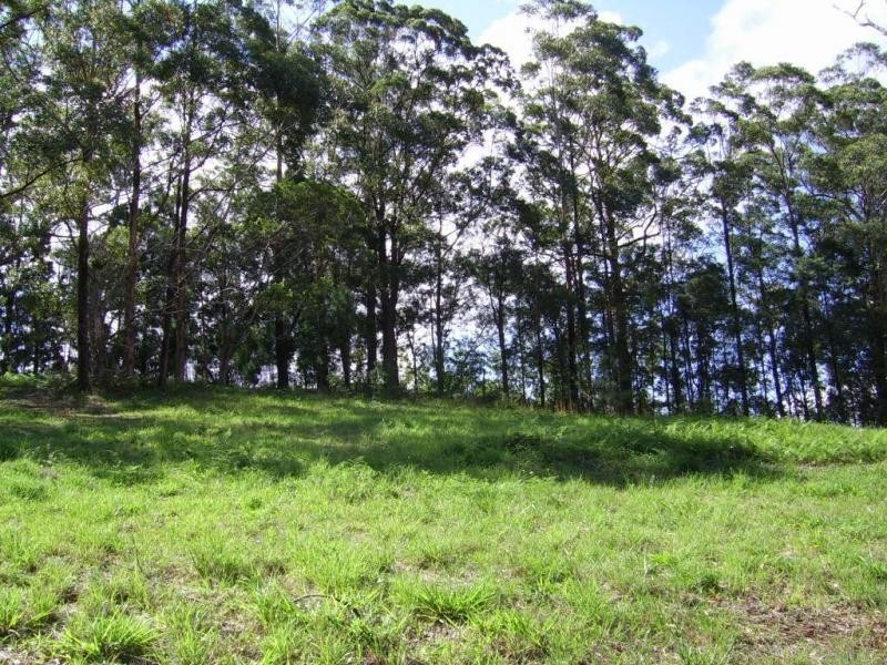 Lot 14 The Parkway Place, Mapleton QLD 4560
