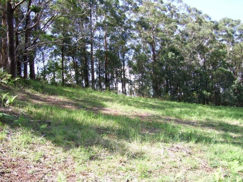 Lot 14 The Parkway Place, Mapleton QLD 4560