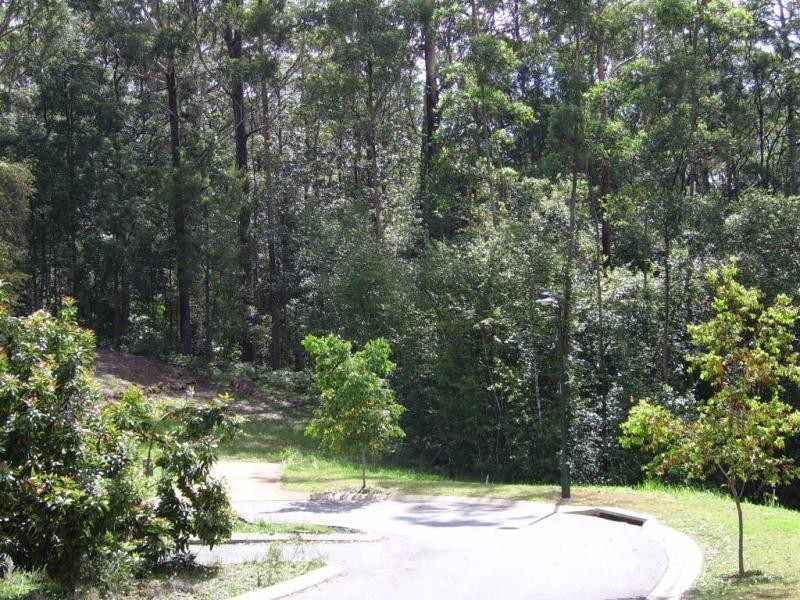 Lot 19 The Parkway Place, Mapleton QLD 4560