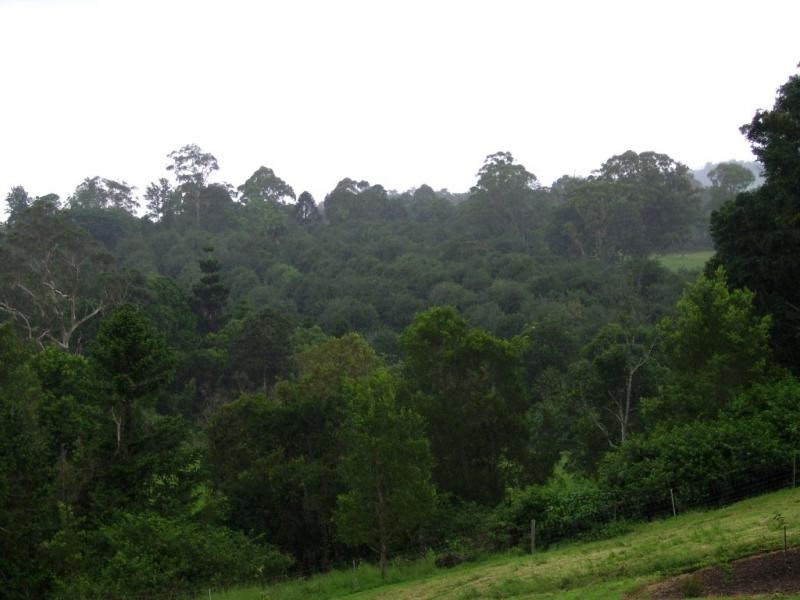 104A Thrushs Road, Dulong QLD 4560