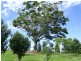 587 Delicia Road, Mapleton QLD 4560