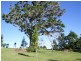 587 Delicia Road, Mapleton QLD 4560