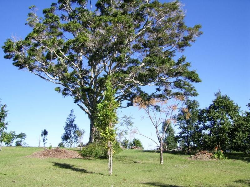 587 Delicia Road, Mapleton QLD 4560