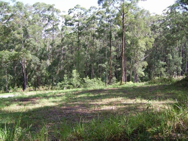 Mapleton QLD 4560