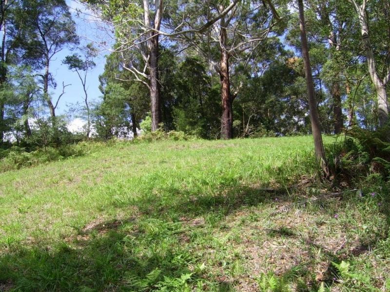 Mapleton QLD 4560