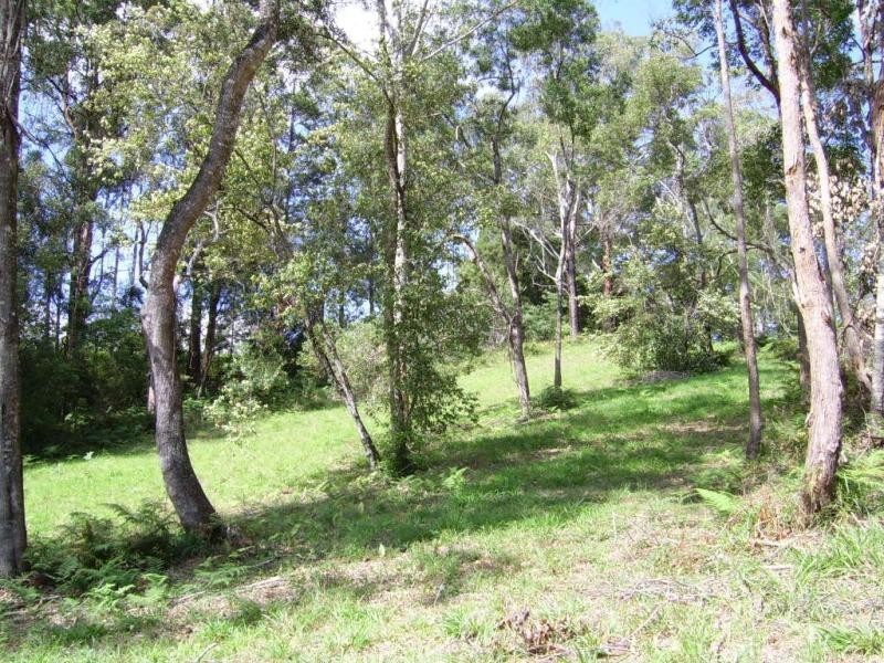 Lot 17 The Parkway Place, Mapleton QLD 4560