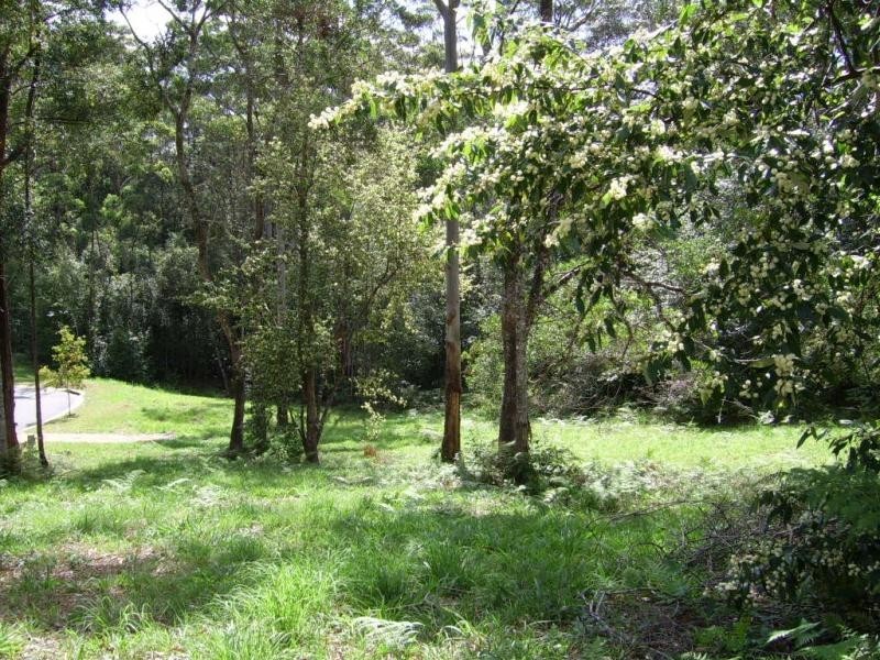 Lot 17 The Parkway Place, Mapleton QLD 4560
