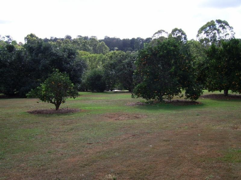 64 Akala Street, Flaxton QLD 4560