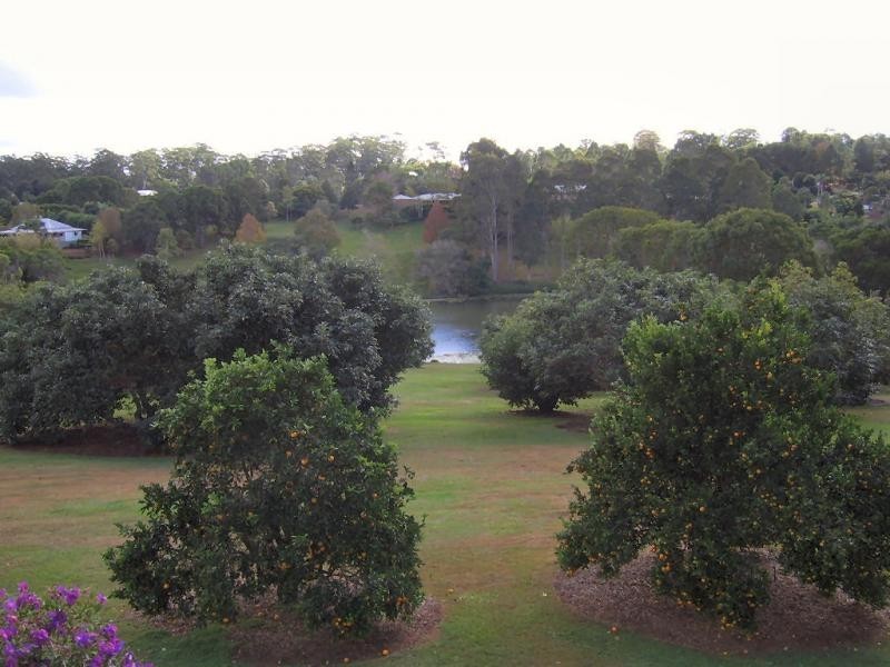 64 Akala Street, Flaxton QLD 4560