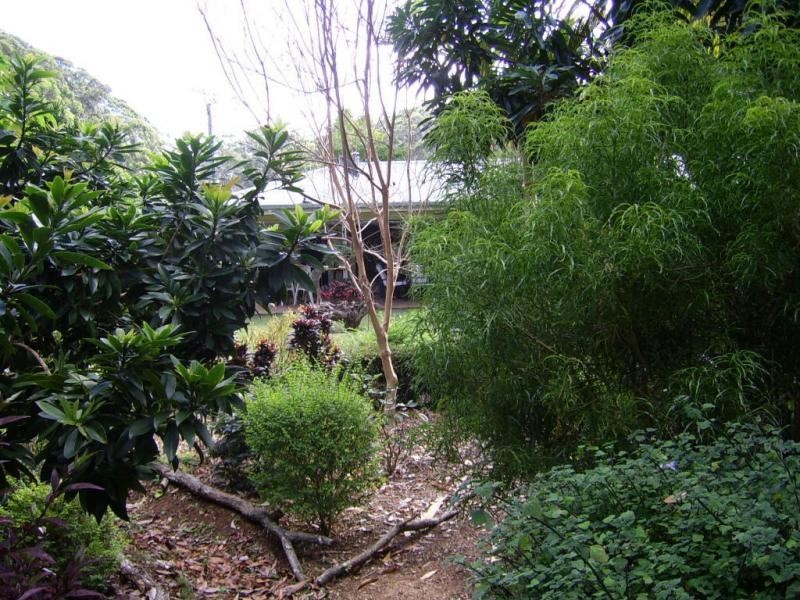 64 Obi Obi Road, Mapleton QLD 4560