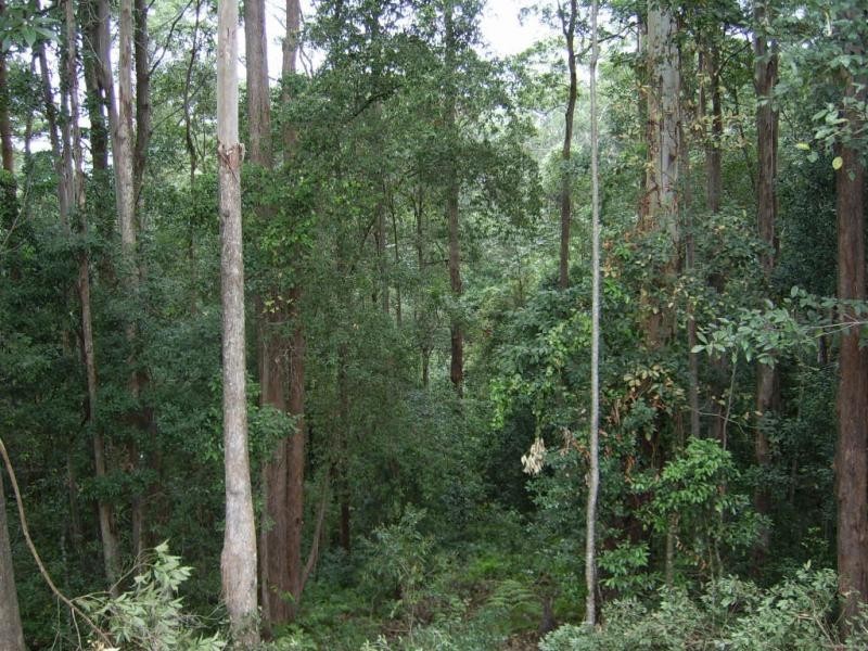 20 Leigha Place, Kureelpa QLD 4560