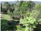 38 Lantana Lane, Mapleton QLD 4560