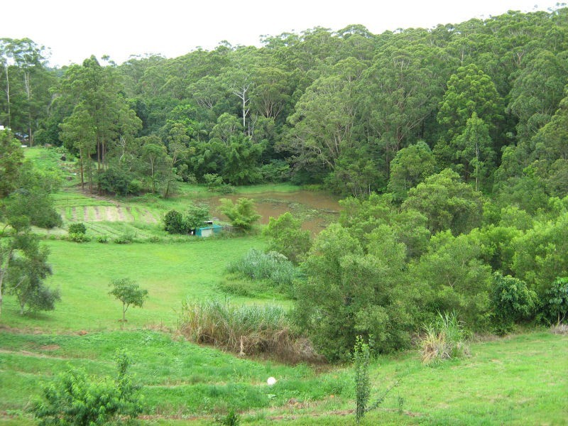164 Flaxton Mill Road, Flaxton QLD 4560
