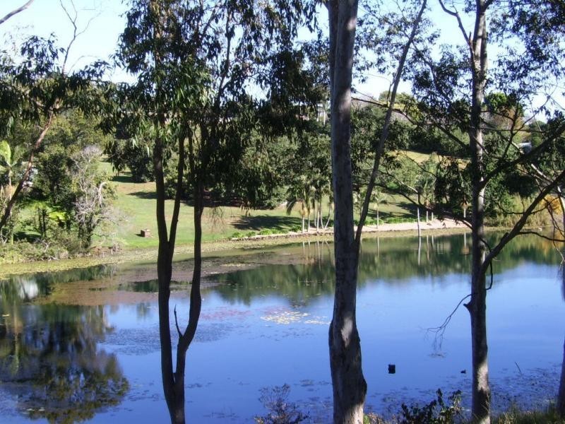 23 Allara Street, Flaxton QLD 4560