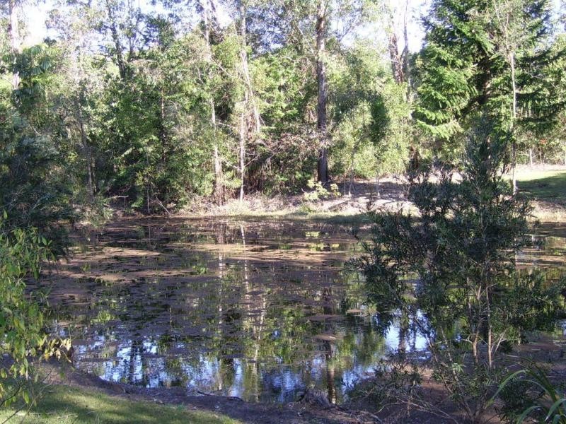 690 Nambour Mapleton Road, Kureelpa QLD 4560