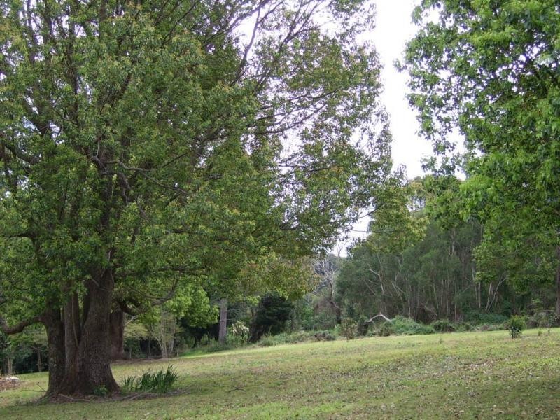 340 Flaxton Drive, Flaxton QLD 4560