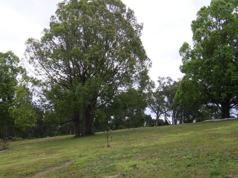 340 Flaxton Drive, Flaxton QLD 4560