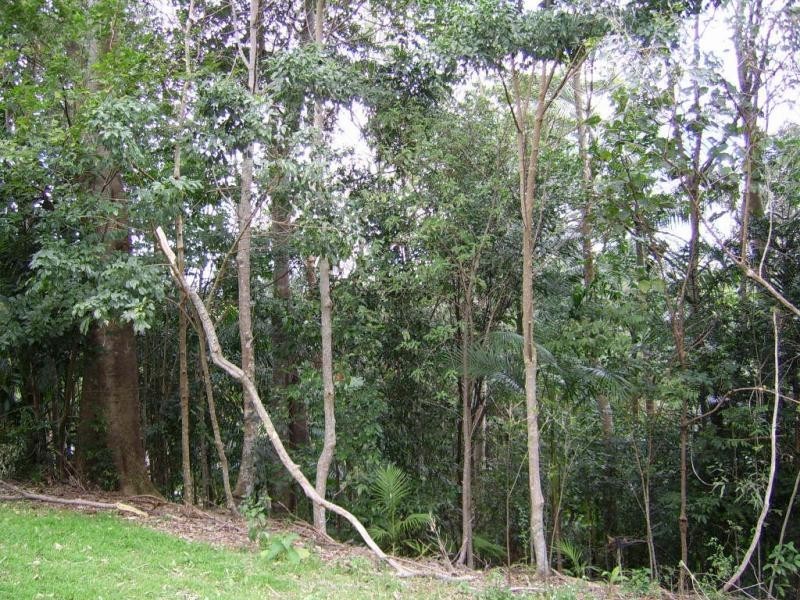 340 Flaxton Drive, Flaxton QLD 4560