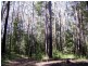 90 Mapleton Forest Road, Mapleton QLD 4560