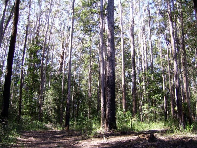 90 Mapleton Forest Road, Mapleton QLD 4560