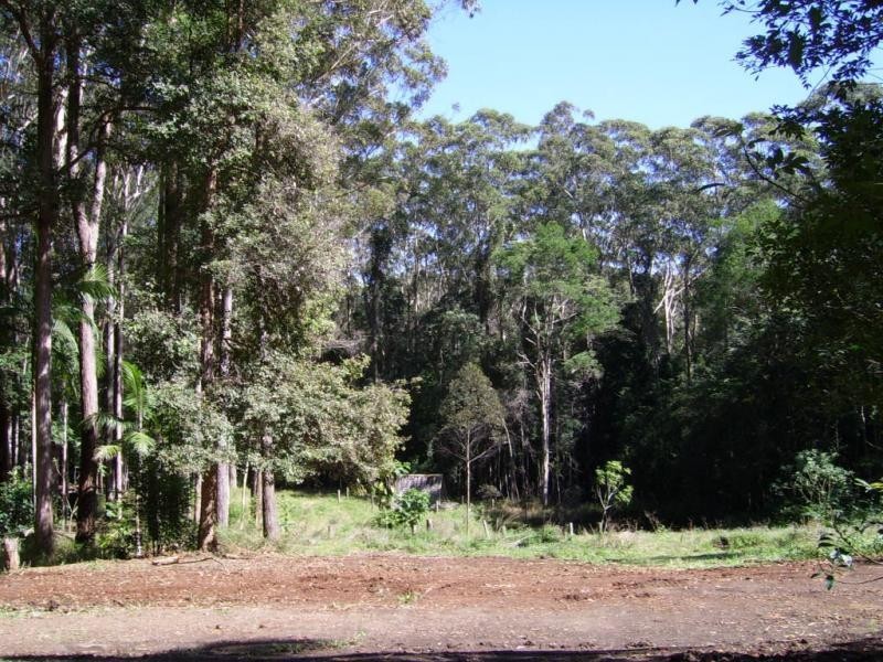 90 Mapleton Forest Road, Mapleton QLD 4560