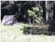 90 Mapleton Forest Road, Mapleton QLD 4560